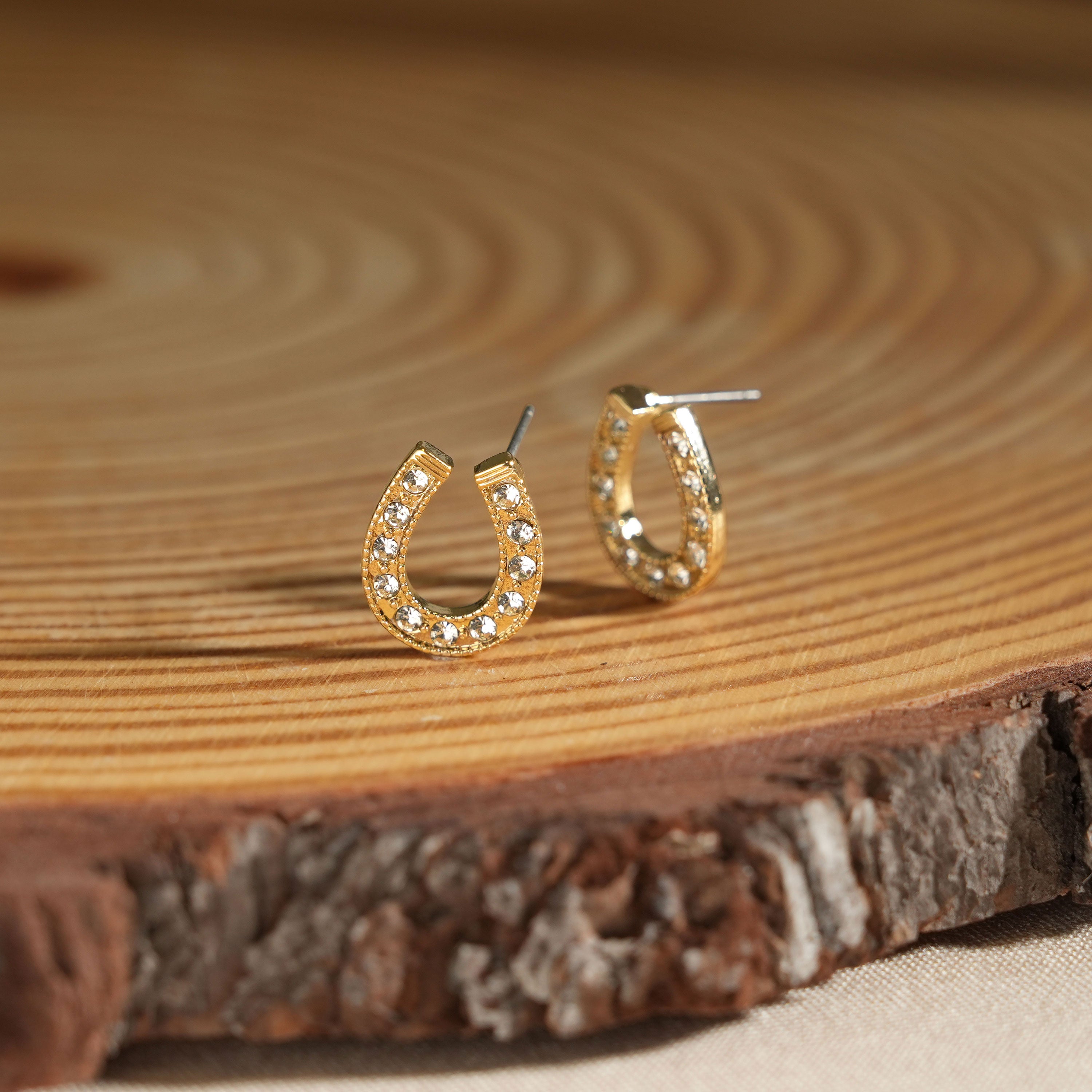 Lucky Horseshoe Crystal Studs