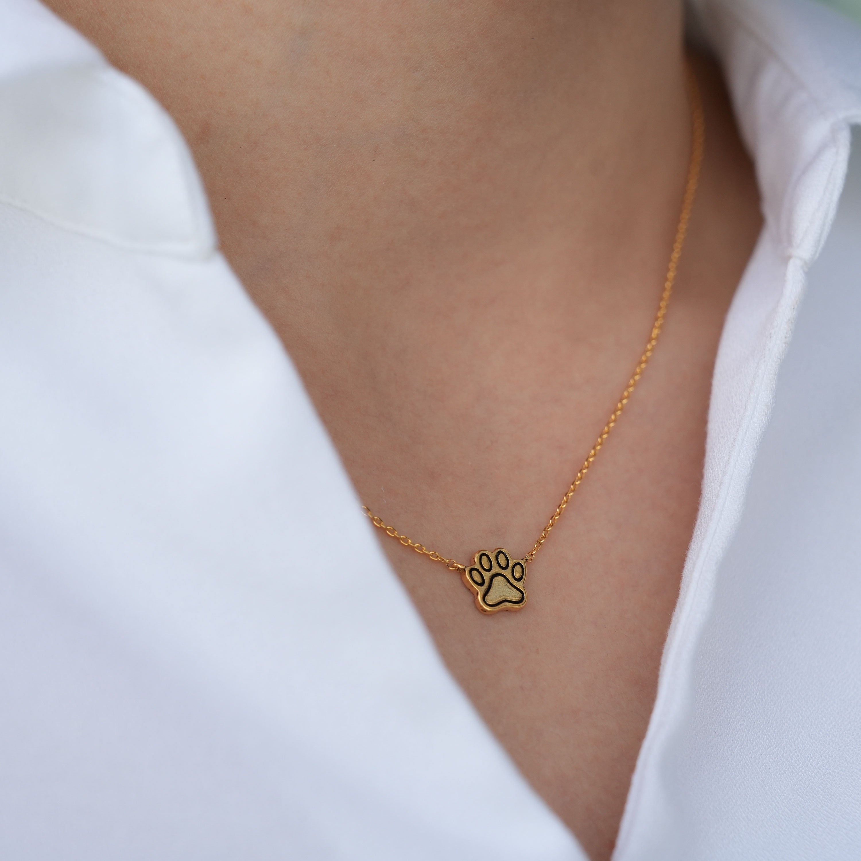 Paw Print - Necklace with Stories